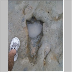 100_0658 (2009-27-07)cr.jpg